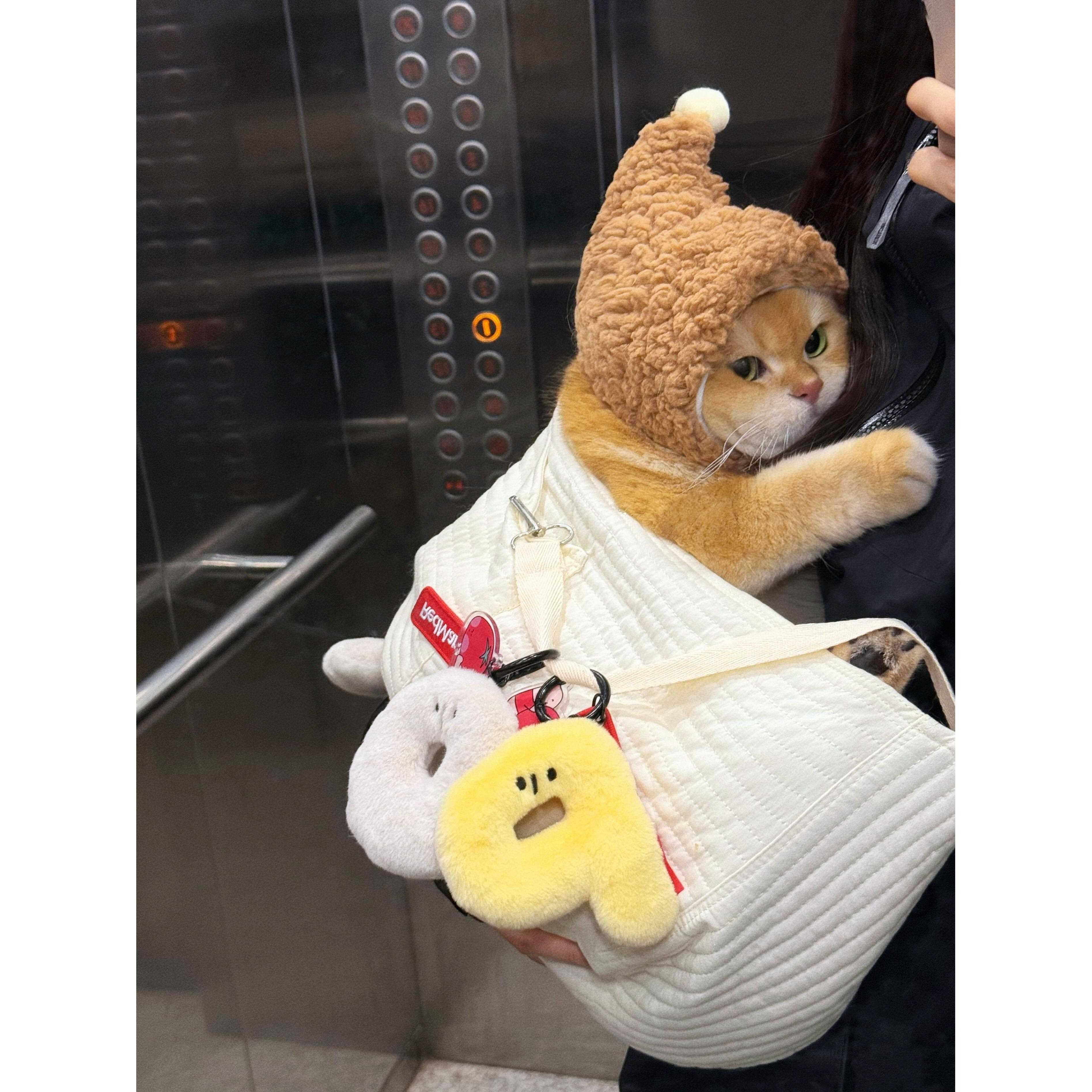 猫咪帽子宠物帽子冬季保暖可爱百搭宠物用品配饰猫咪头套可调节