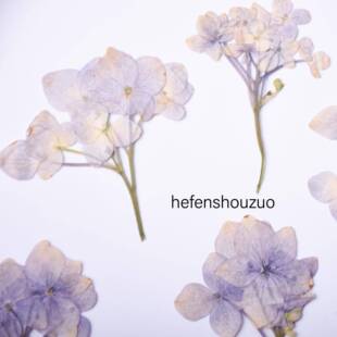 带枝原色绣球干花 手捧花真花押花 火漆印章diy材料滴胶手机壳