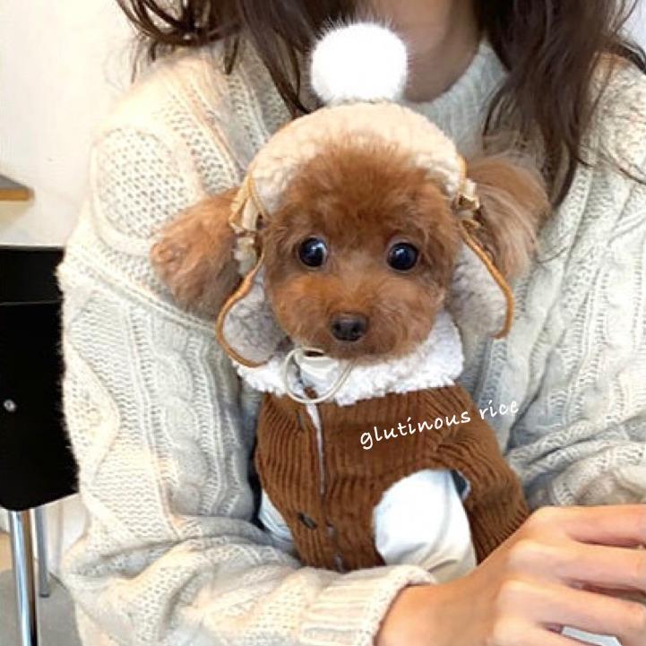 宠物狗圣诞拍照保暖防风帽子春秋露耳朵搞怪加厚可调节飞行帽柯基