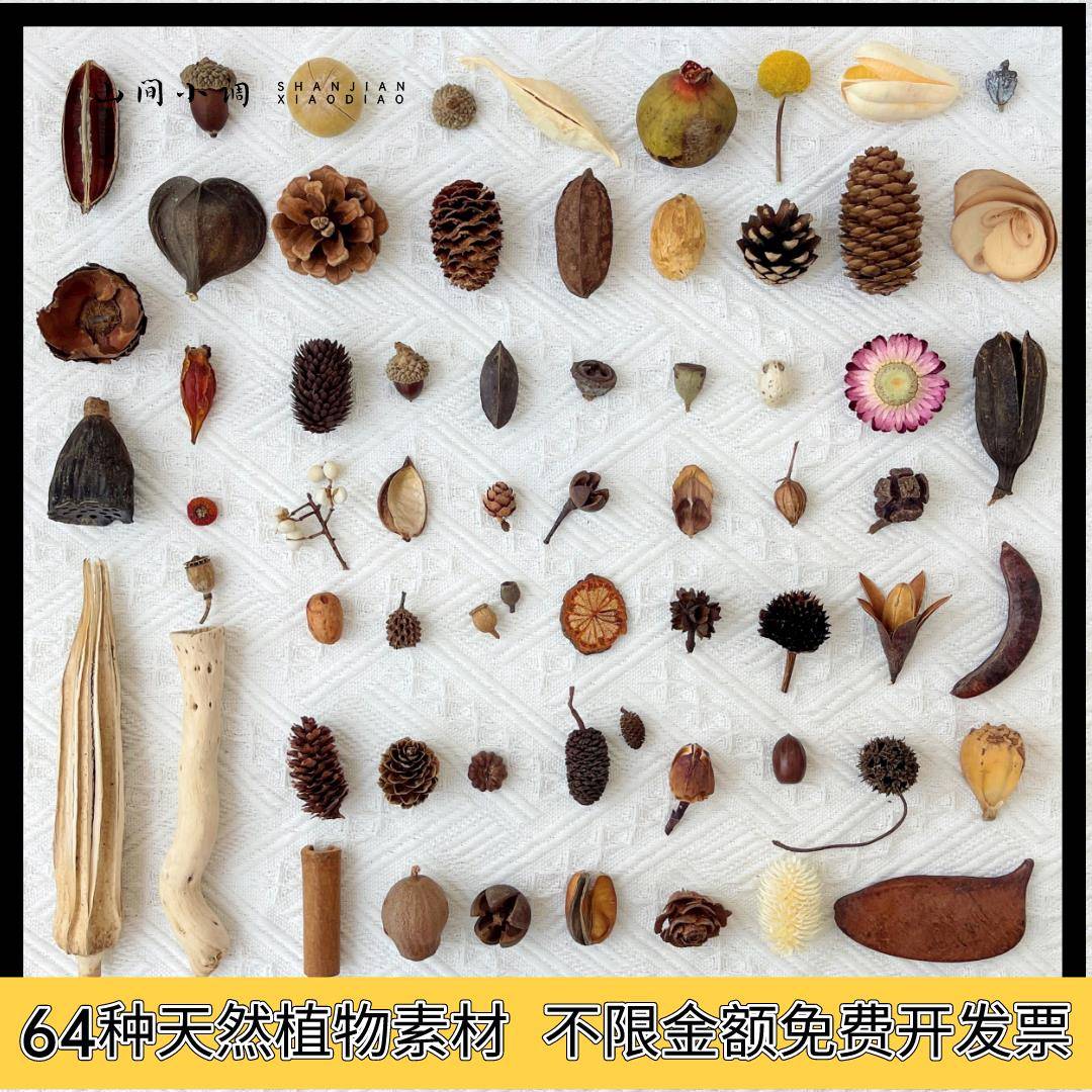 天然植物果子diy标本相框制作材料松果套装幼儿手工家居壁挂装饰