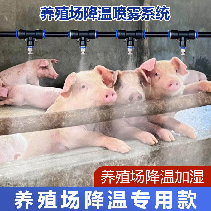 养殖场降温喷雾系统猪场鸡舍养牛降温加湿专用设备雾化喷雾头喷淋