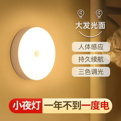 人体感应灯人来即亮人走即灭过道走廊夜间衣柜衣橱充电小夜灯新款