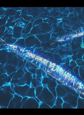 DNE去路亚超远投沉水铅笔【飞君】假饵20克海鲈鱼翘嘴鳜路亚鱼饵