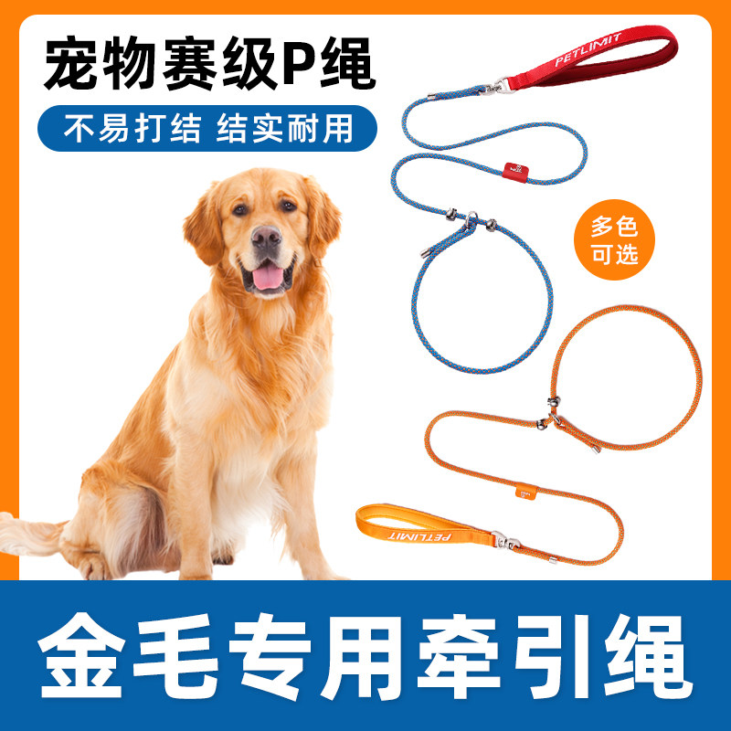 金毛专用牵引绳子狗狗防爆冲P链狗链遛狗防挣脱大小型犬拴狗绳