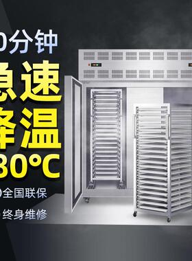 德菱仕速冻柜商用零下45度大容量预制菜肉类海鲜风冷速冻机商用