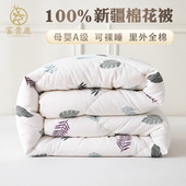 100%新疆天然纯棉花被被芯棉絮春秋被家用加厚保暖冬被夏凉被四季