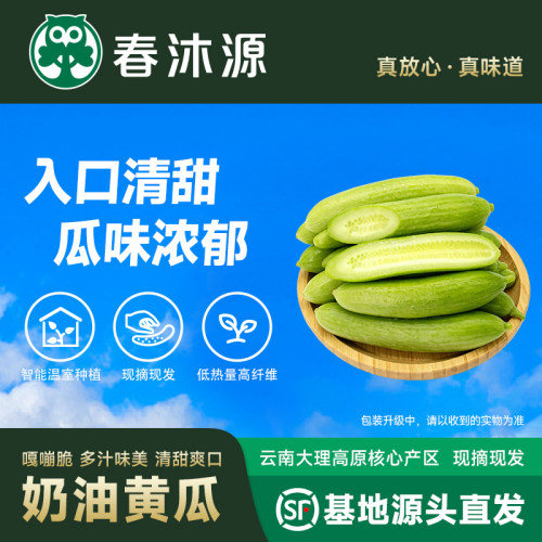 春沐源奶油黄瓜水果黄瓜现摘现发清脆爽口瓜味浓郁350g*2盒装