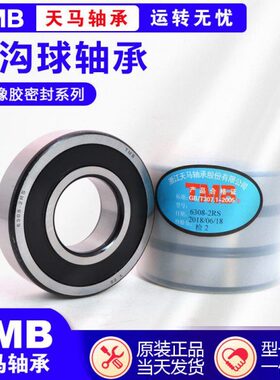 TMB天马电机轴承6016 6017 6018 6019 6020 6021 6022 6024
