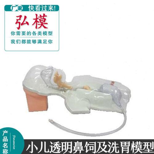 弘模小儿多功能透明鼻饲及洗胃模型 练习示教培训演示胃管插入模