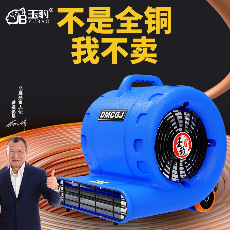 大功率吹地机商用吹干机家用卫生间厕所浴室地面吹风机强力除湿机