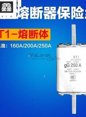 1 16 RT162501200熔AA A熔断器陶瓷芯NA20T R250 *RT-00 保险管32
