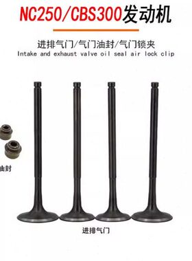 C 0C250N狼S排气波速尔 极盗者 战发动机门30 夹油封进 越野车锁B