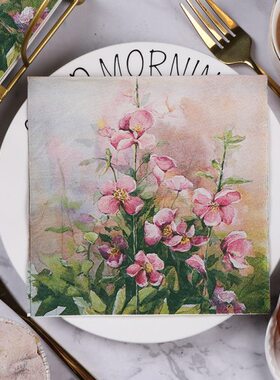 Rlux欣欣向荣高端u浆油画 三层n纯纸巾木花朵巾餐巾纸彩色纸 印花