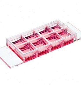 德国IBIDI μ-Slide 8孔腔室载玻片-80821 80826