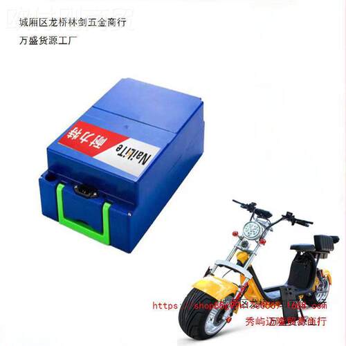踏哈板雷车V8锂电池4v6020ah电瓶车大容量铅酸改锂WXP外卖专用