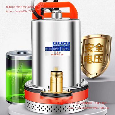 直流潜水插12V24V48V60V72V抽水泵农用外抽水机家TJW用电瓶泵户车