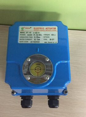 M-B5540ST4010B30-E,-4002 -1-电动执行器  554S-T-01B-TCE-----S