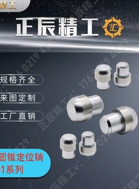 大头圆锥定位销YBC01 02 06 11 21 22 26 31 41 42 46 51-D-P-L