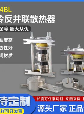 BL散热器P双硅4S1频炉PA中平板用紫可控硅晶闸管S铜KK0K1250现货Z