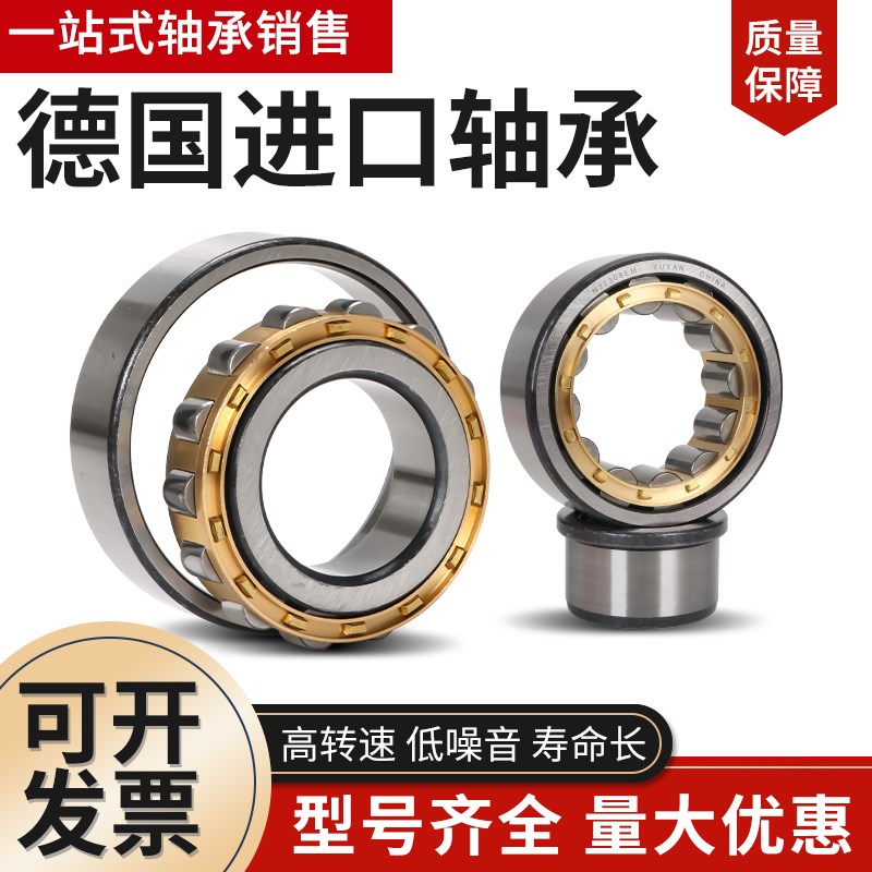 进口德国轴承NU NJ 1004 1005 1006 1007 1008 1009E.TVP2尼龙