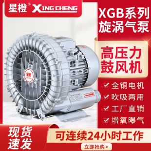 罗茨涡轮220v大功率强力吸吹工业用鼓风机 高压漩涡风机增氧旋涡式