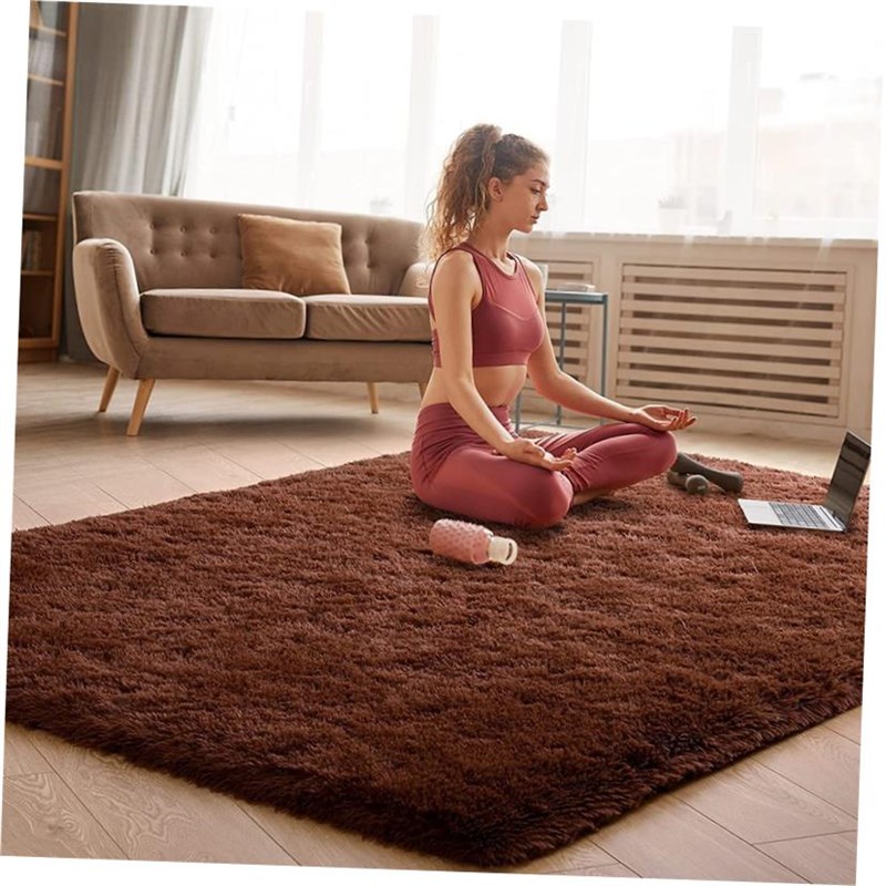 Plush Carpet Living Room Bedroom Fluffy Rug Floor Mat 地毯子