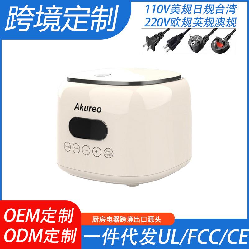跨境电饭煲多功能智能滤篮不锈钢内胆110V中国台湾美国日本外贸版