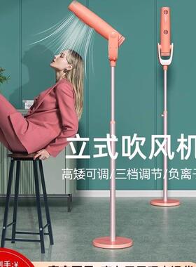 日本美国110V懒人立式吹风机家用落地全自动负离子护发大风力速干