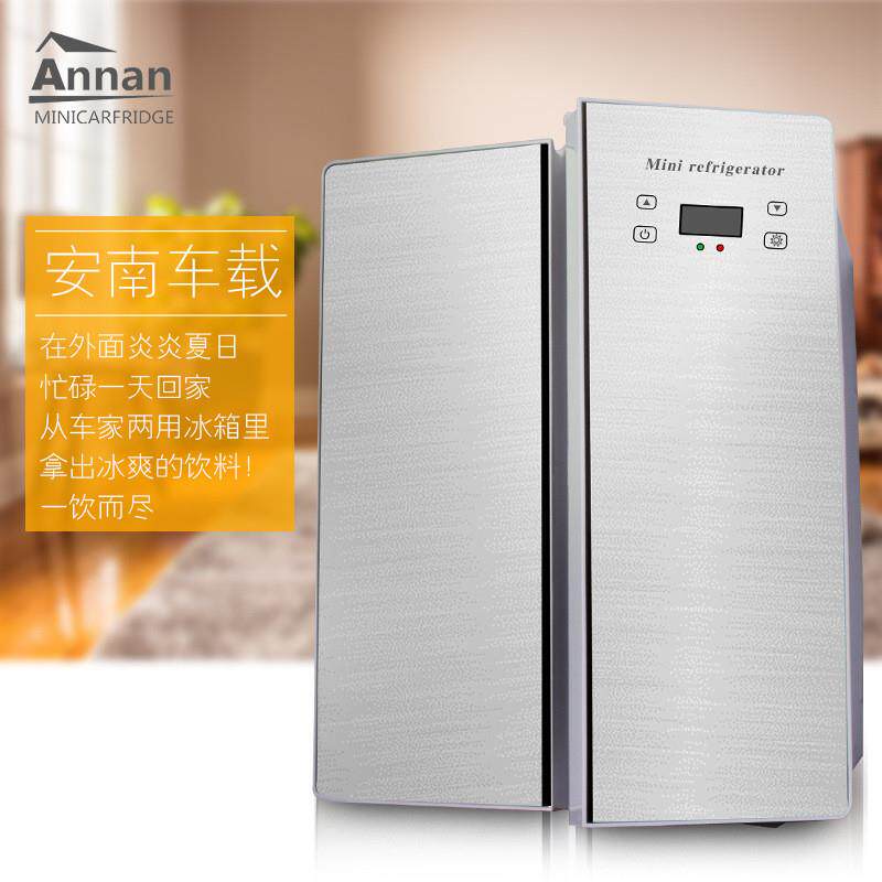 110v25L车载冰箱车家两用双开门宿舍租房面膜饮料果蔬冷藏保鲜热
