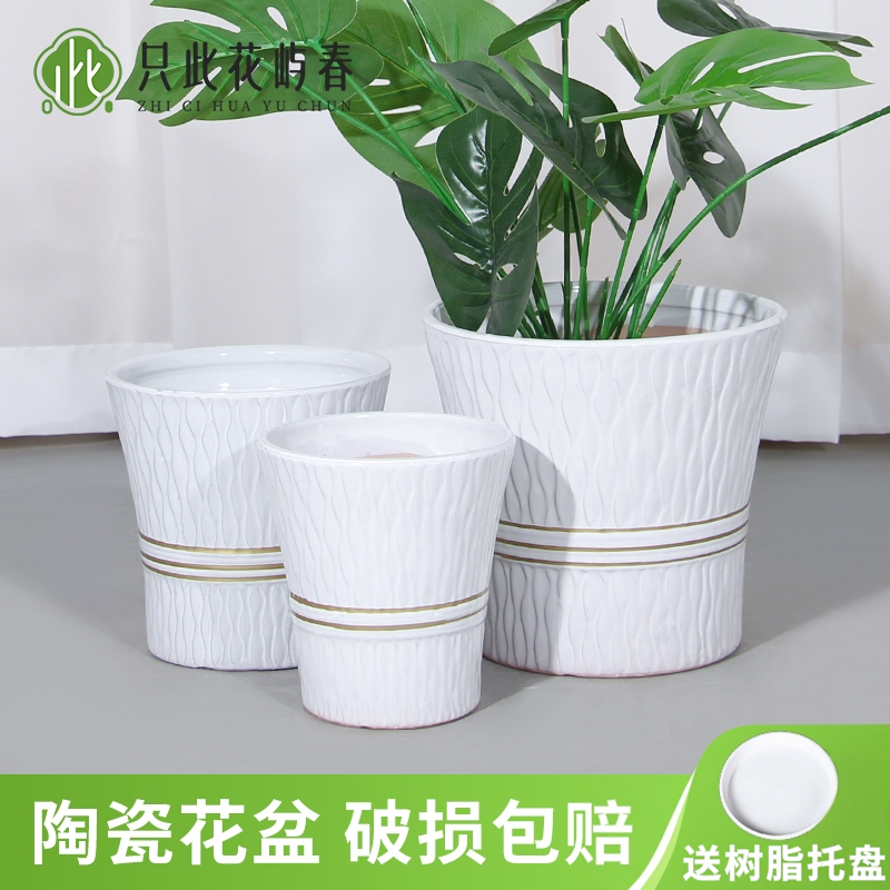 陶瓷花盆大号特大号带托盘多肉花盆欧式简约白色绿萝客厅阳台通用