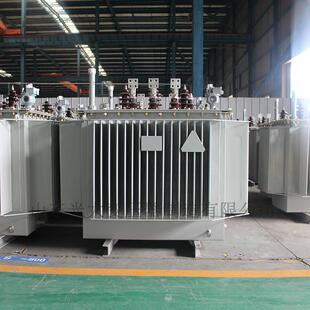 2500KVA油浸式 S20 变压器厂10KV电力变压器二级能效全铜