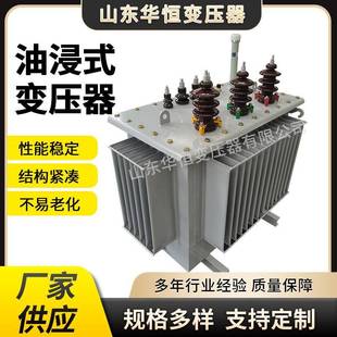 0.4KV油浸式 250KVA变压器厂家 200 S11 S22 变压器S13 S20