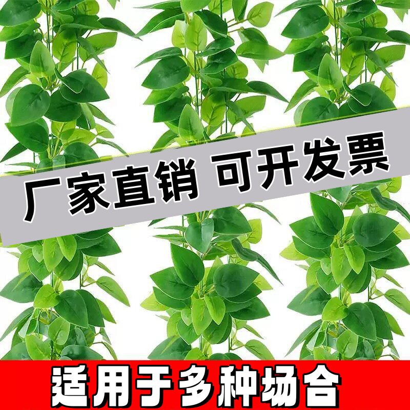 彷真绿色植物黄金葛叶水管道装饰花藤空调遮挡绿叶藤条室内外藤蔓