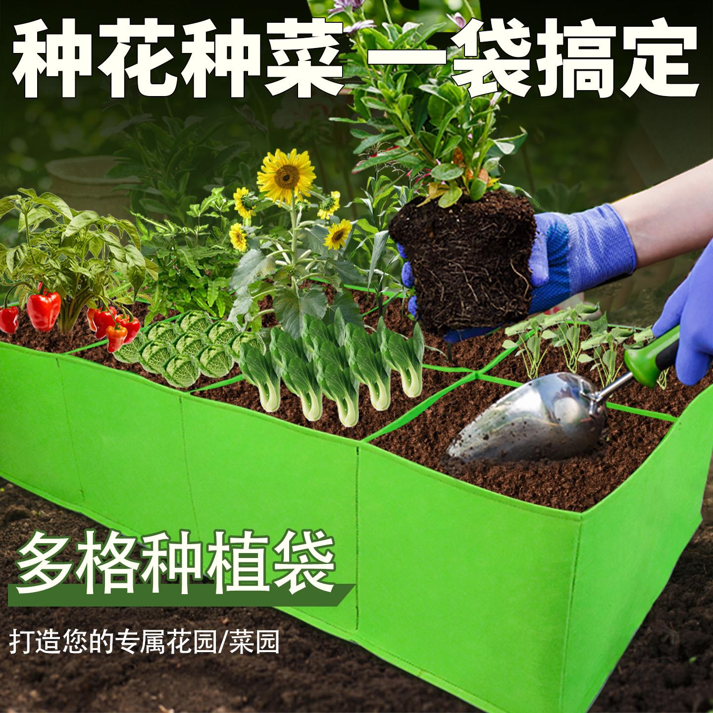 美植袋无纺布种植袋花盆超大八口厚育苗家庭阳台植物楼顶种菜种花图片