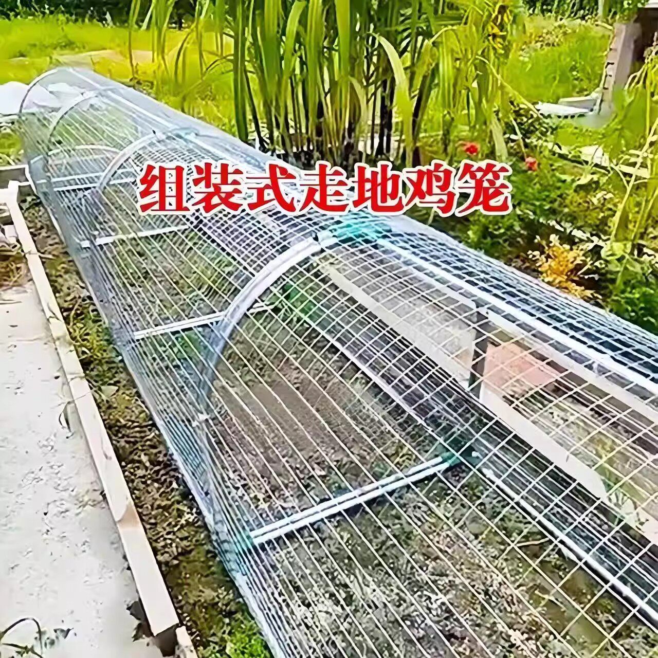 走地鸡笼隧道养鸡兔子跑道萌宠铁丝网溜达鸡家用笼子户外耐用专用图片