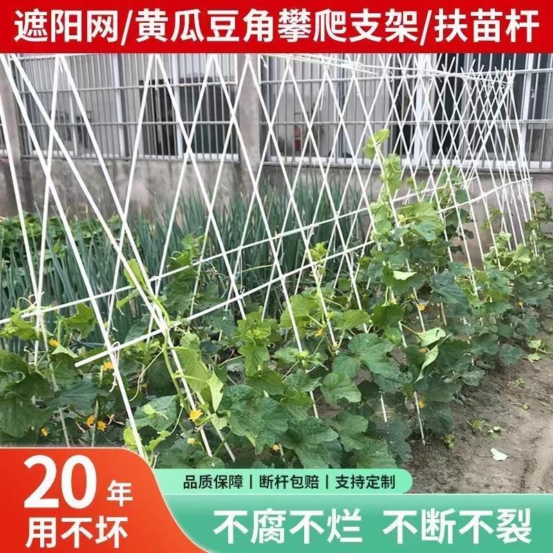 种黄瓜架子玻纤植物固定支伸缩杆番茄搭架支柱爬藤架防腐丝瓜架杆
