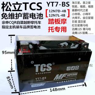 松立TCS机车免维护电瓶越野250骑士125踏板弯梁110机车干乾电池