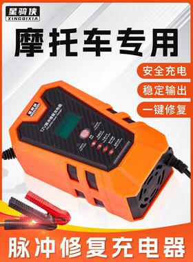 pcx160充电器LEAD电瓶12v快充NS125LA摩托车NS110LQ蓄电池充电机