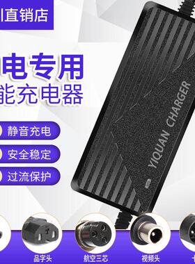24V36V48V54.6V锂电池电瓶充电器电动滑板代驾折叠车平衡车通用充