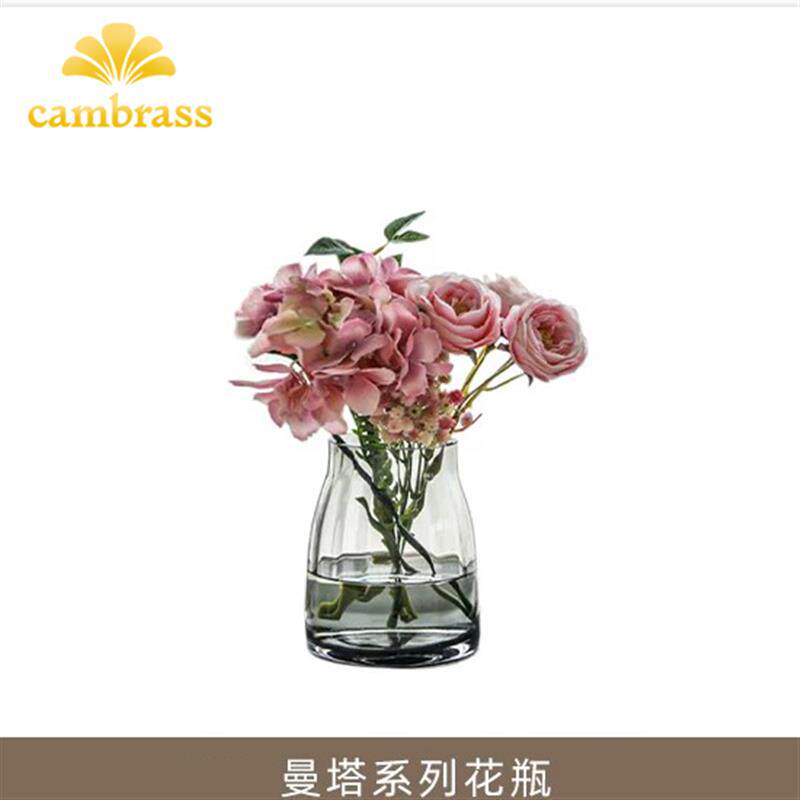 cambrass透明玻璃花瓶高级轻奢摆件客厅插花水培花器乔迁新居礼物