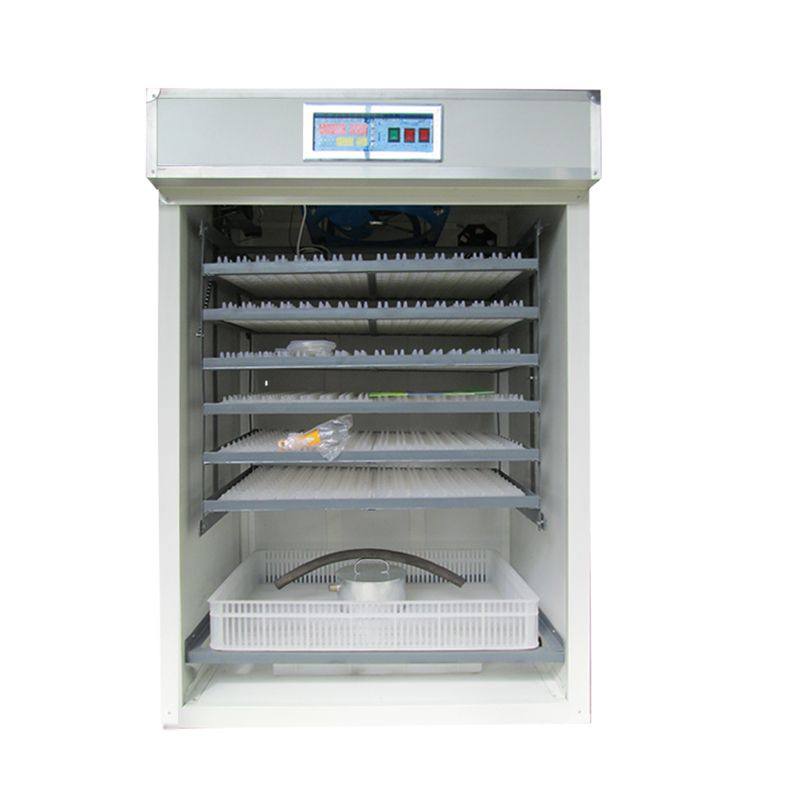 704孵化箱新款全自动孵化箱小型孵蛋器鸽子孵化机包邮家用孵化器,宠物/宠物食品及用品,鸟类孵化器/繁殖箱,淘宝优惠券,粉丝福利购,淘宝优惠卷