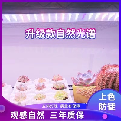 正阳多肉绿植花卉全光谱白光补光灯家用上色防徒室内大功率灯排