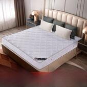 弹簧床垫20厘米厚1.8米双人床垫乳胶床垫1.5米椰子棕榈床垫舒适两