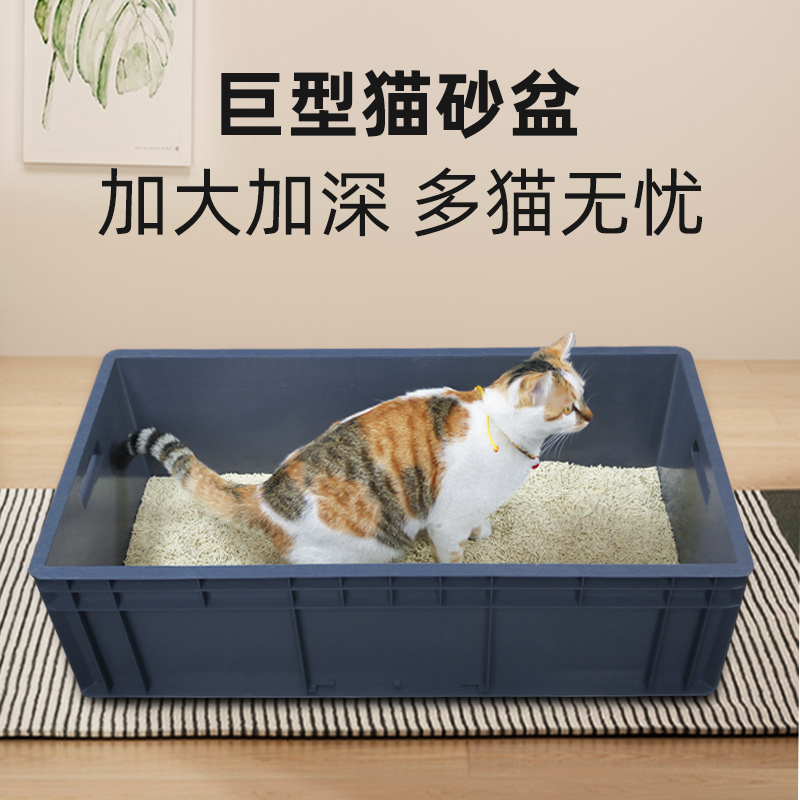猫砂盆超大号80cm全开放式周转物流集装箱特大60斤巨大缅因猫厕所