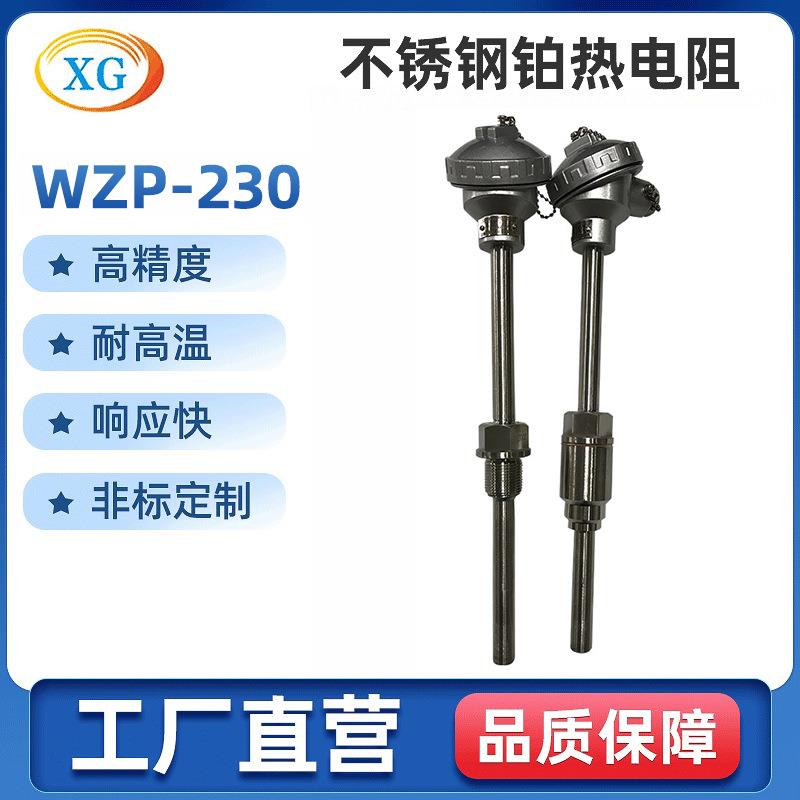 厂家供应WZP-230铂热电阻PT100防腐热电阻固定式热电阻
