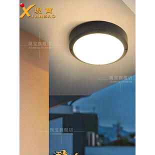 室外吸顶灯防水防虫庭院阳台屋檐天篷太阳能传感器门阳光房专用灯