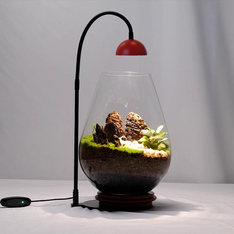 小红帽定时植物灯生态瓶造景微景观灯苔藓鱼缸盆栽全光谱补光灯