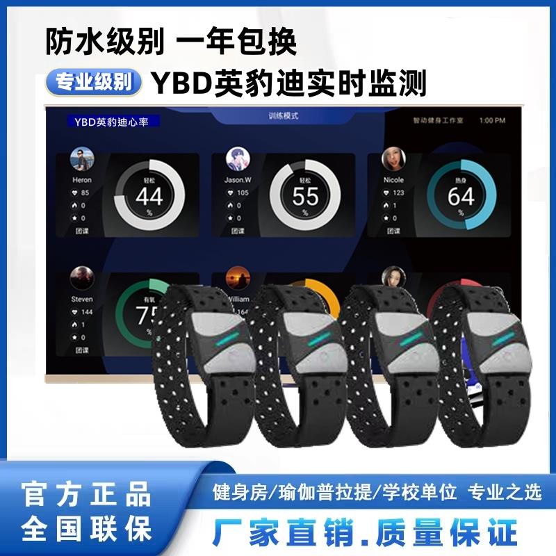 英豹迪防水游泳馆健身房瑜伽馆普拉提实时监测心率系统臂带手环