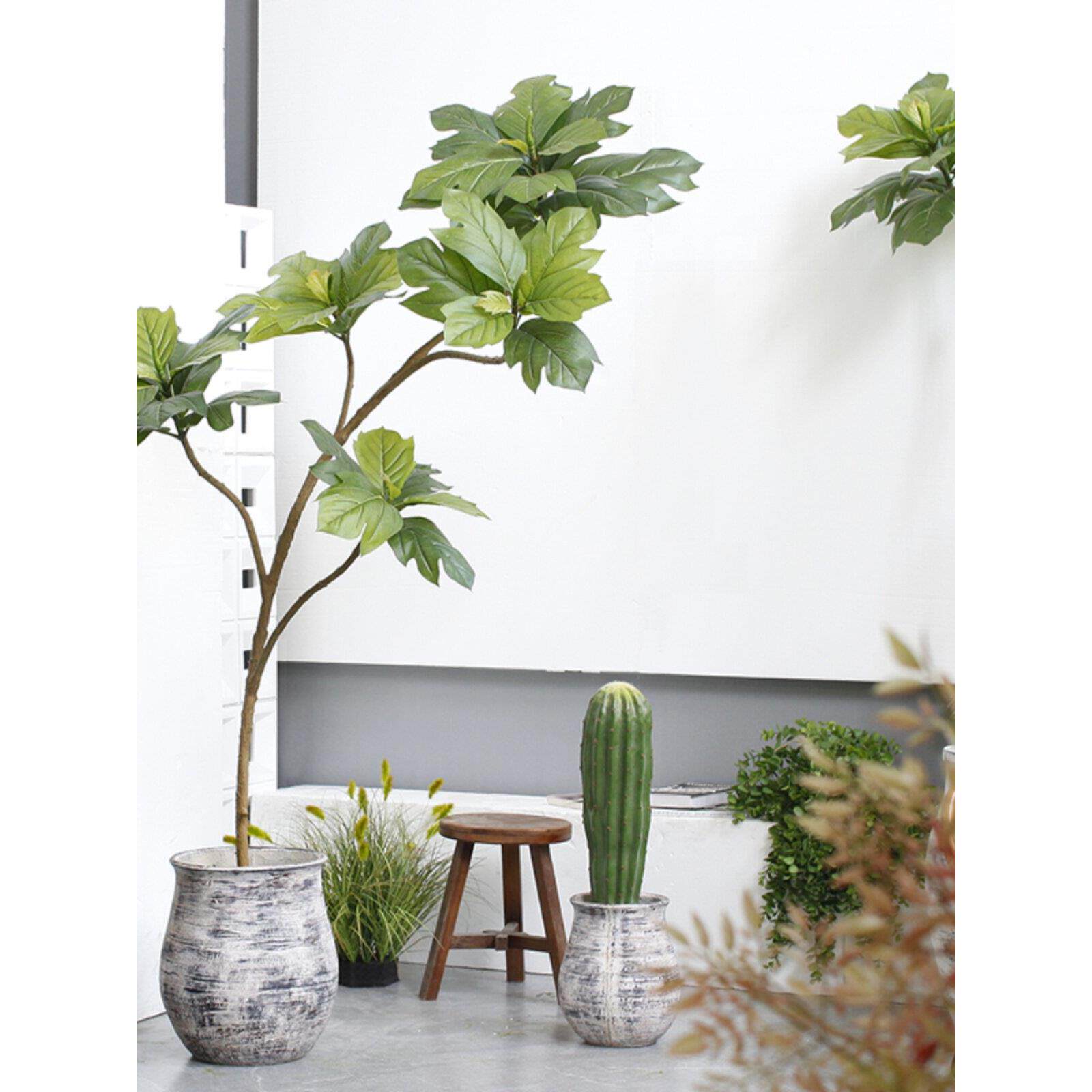 模拟面包树绿色植物盆栽家庭客厅民宿装饰景观Wabi-Sabi风格大型