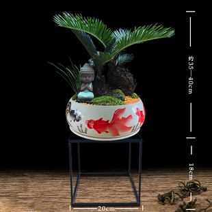 苔藓石山铁树盆栽室内植物好养易活客厅玄关大型绿植开业苏铁盆景